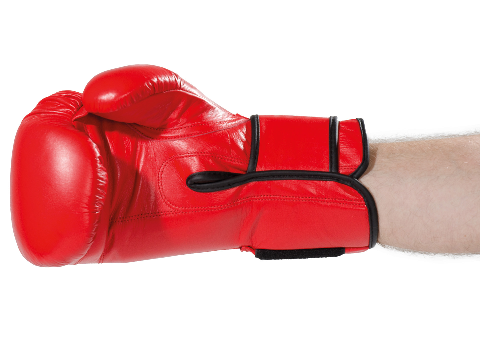 Gants de boxe Ergo Champ