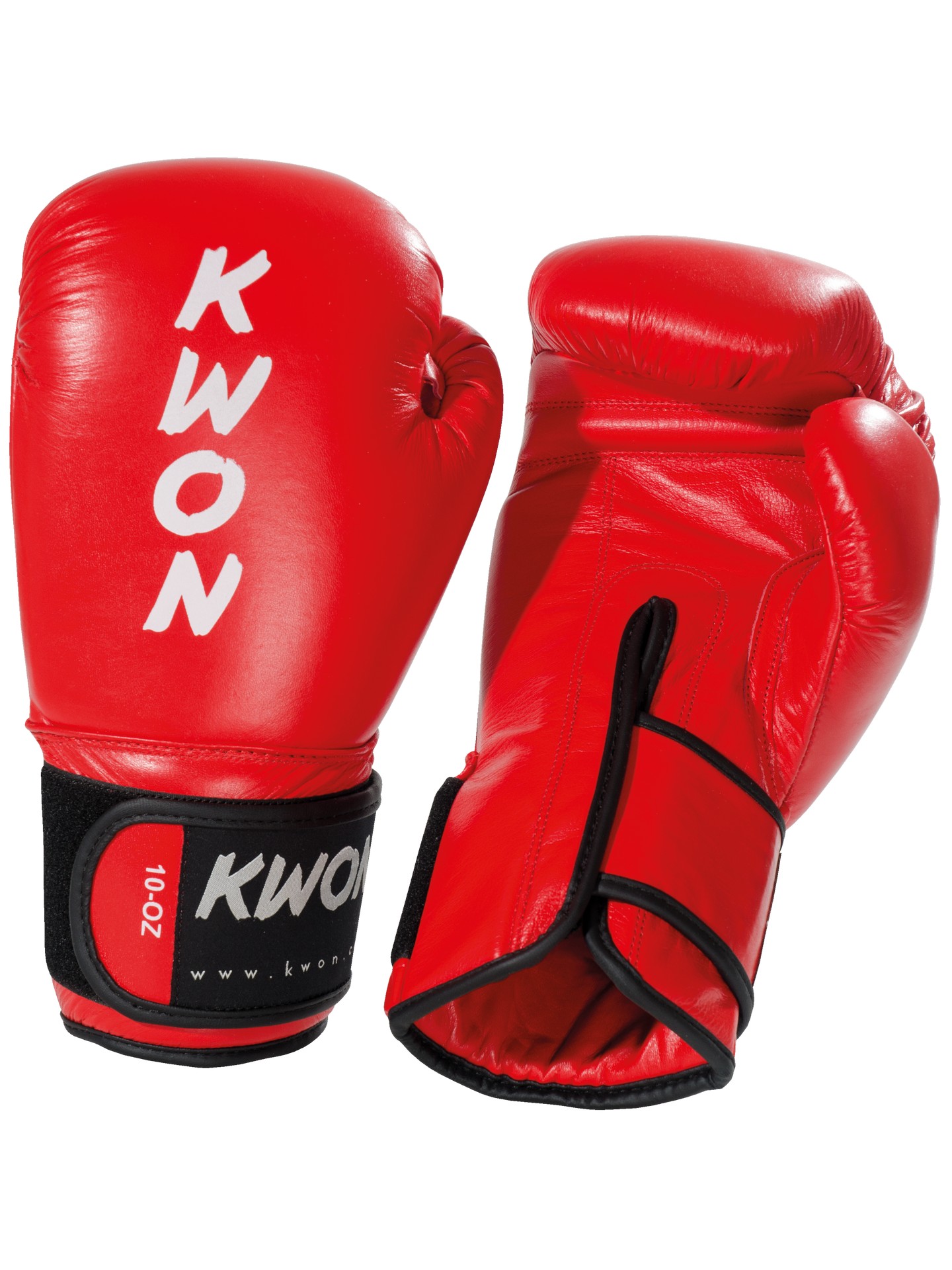Gants de boxe Ergo Champ