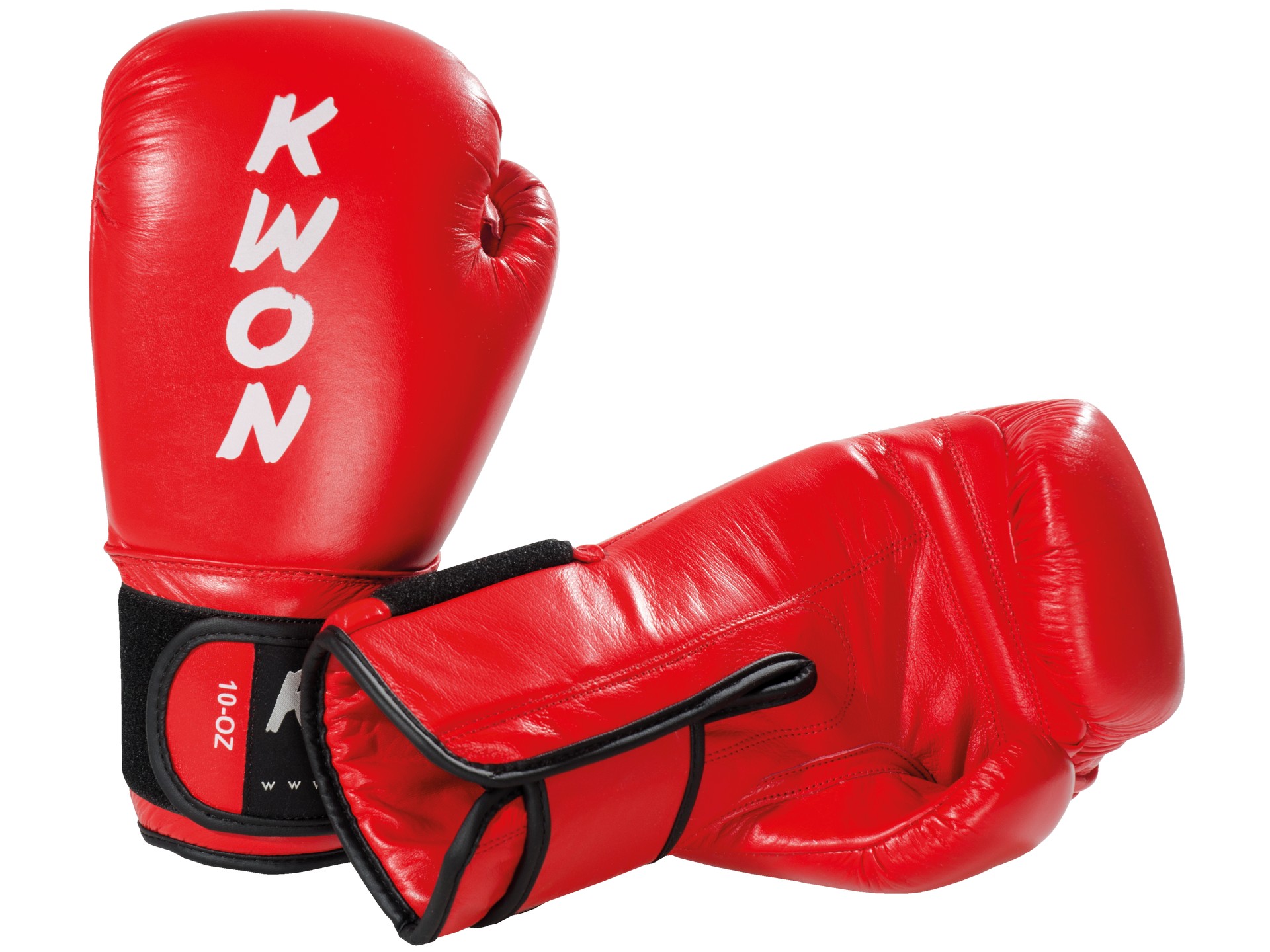 Gants de boxe Ergo Champ