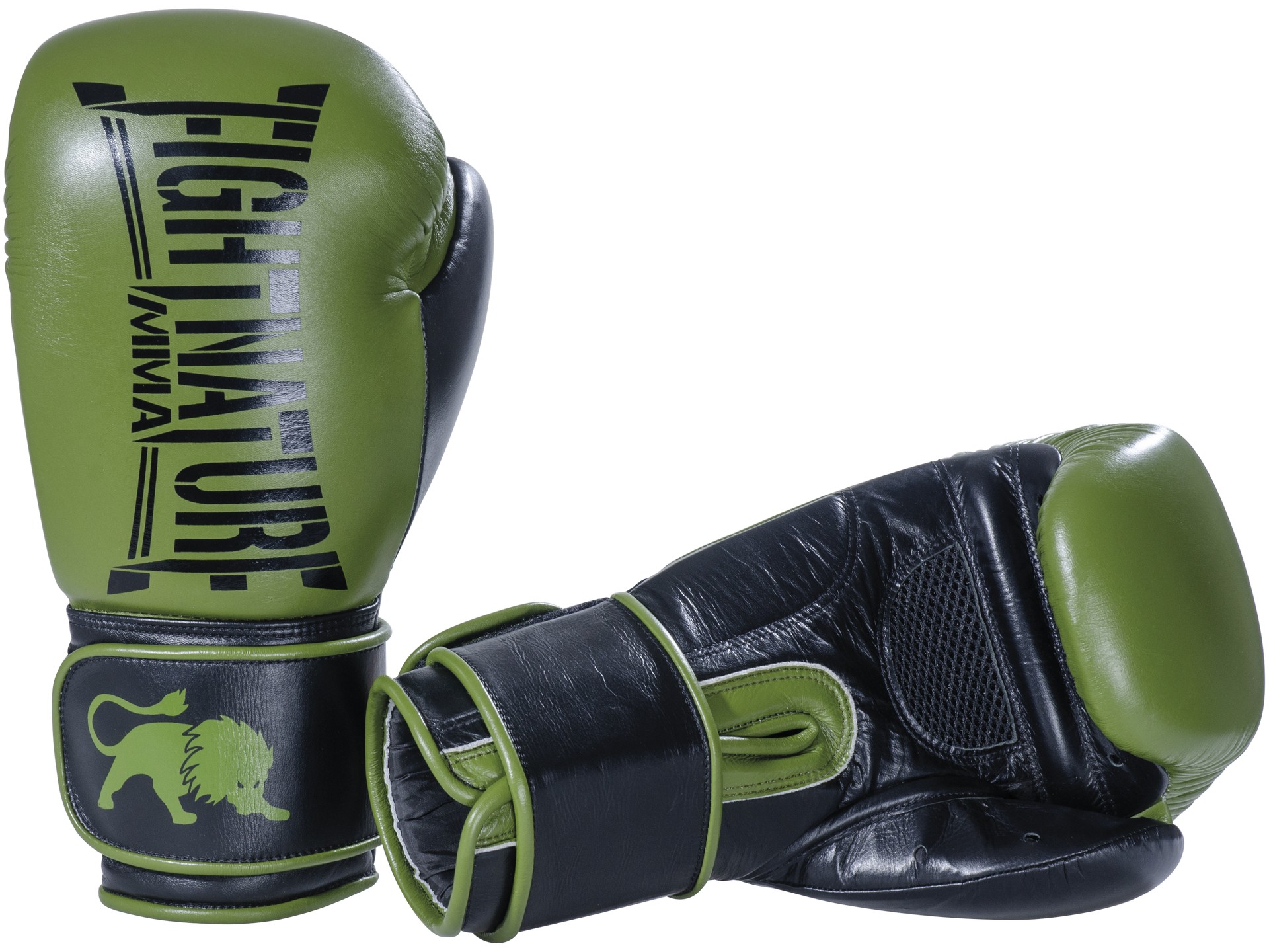Gants de boxe FIGHTNATURE Sparring
